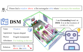 dsm.png
